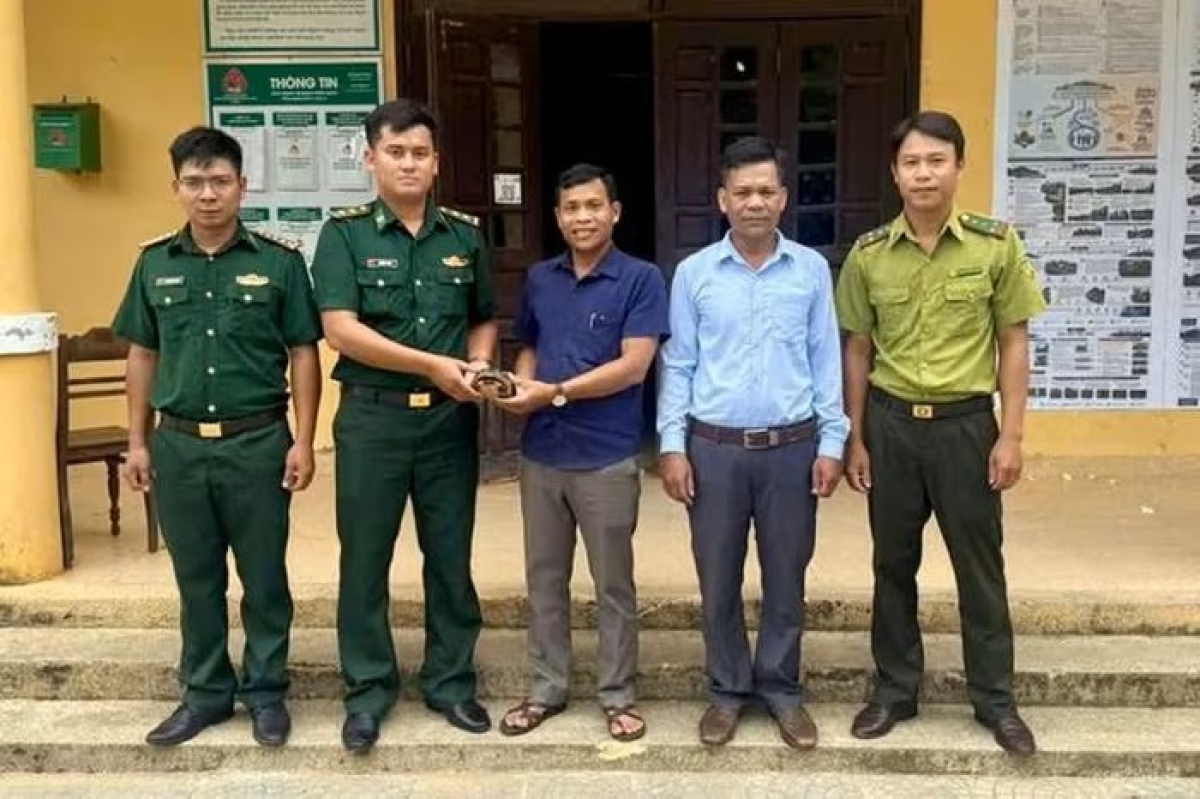 Cá thể Rùa hộp trán vàng được giao nộp cho cơ quan chức năng.