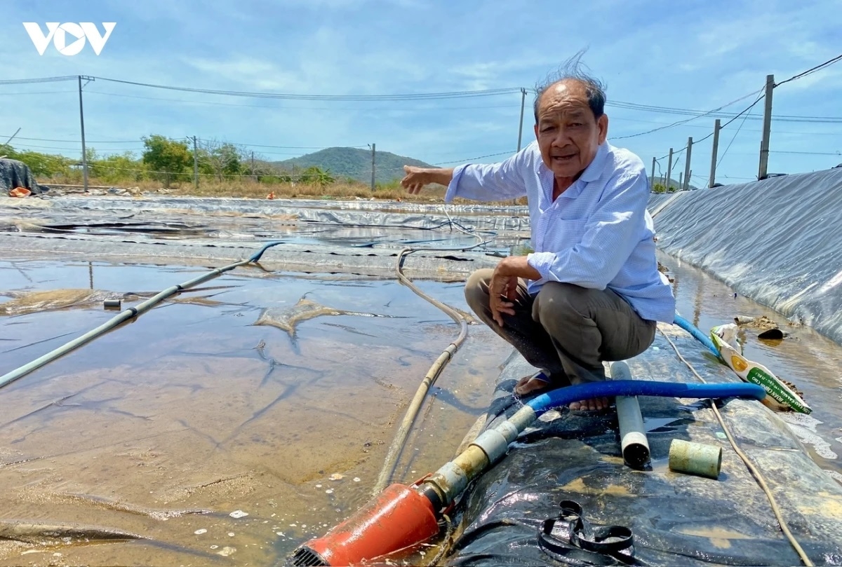 Ong Nguyễn Văn Gia, xã Tam An, huyện Long Đất 
