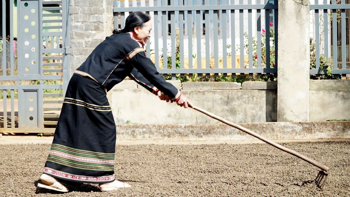 Đảng viên, người có uy tín cũng là người tiên phong, đi trước, "dẫn đường" buôn làng cùng làm kinh tế.
Ảnh: H Xíu/VOV-Tây Nguyên