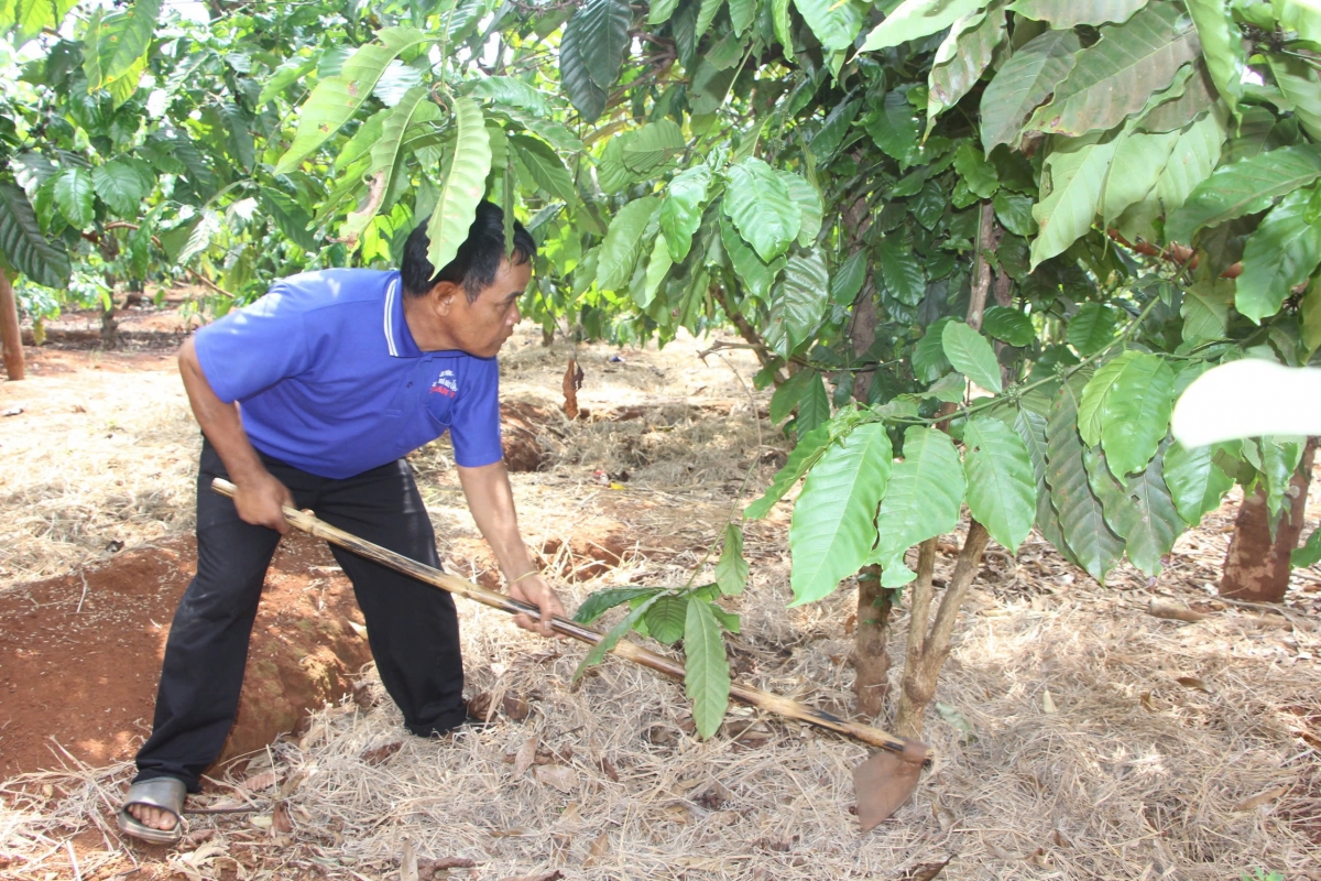 Môi khu kuăn pơlê hdroâng kuăn ngo a Gia Lai xuân ôh tá bê tơnêi pêt mơjiâng tơmeăm