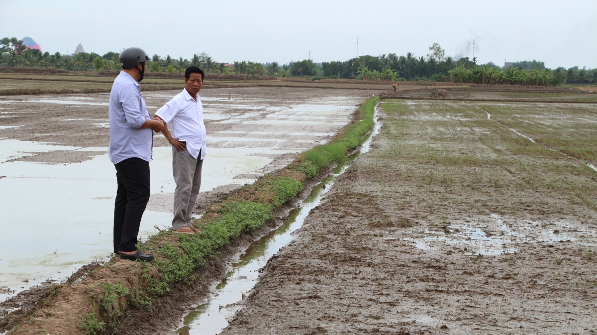 Ông Lâm Se nông dâm mạnh dạn thay đổi tư duy sản xuất