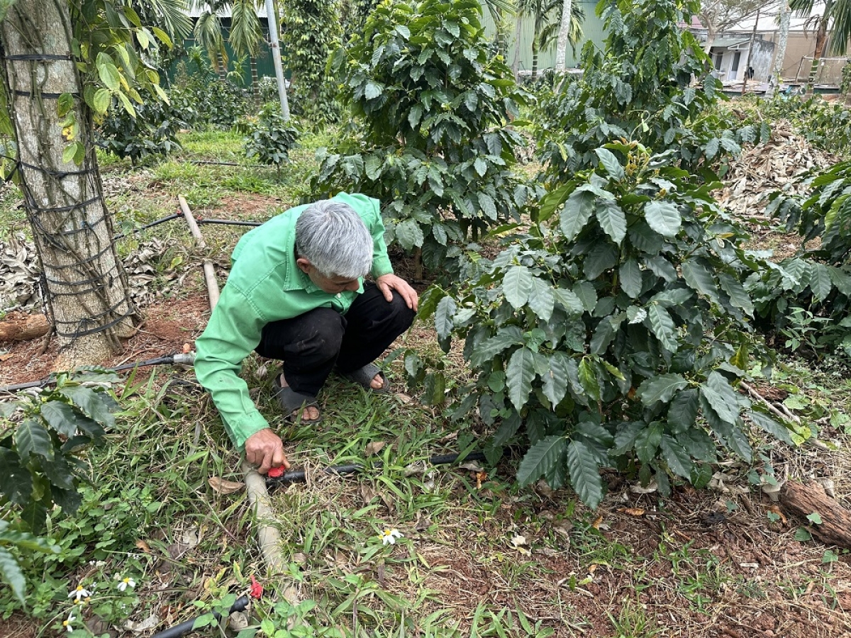 Cau lơh broă sa Dăk Lăk sền gròi bơcri priă crăp ơn ală ding tuh dà gơtìh tềm pềr