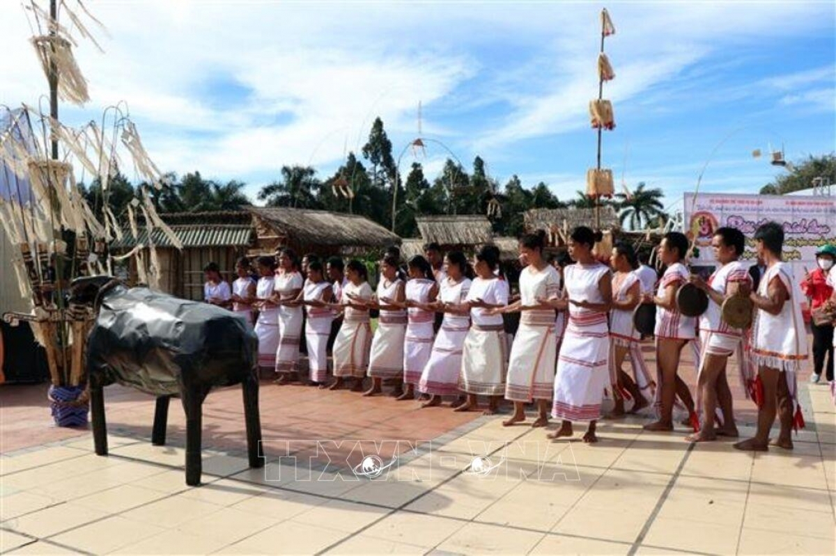 Lễ Mở cửa kho lúa của người Rơ Măm tại xã Mô Rai, tỉnh Quảng Ngãi - Ảnh: Cao Nguyên/TTXVN