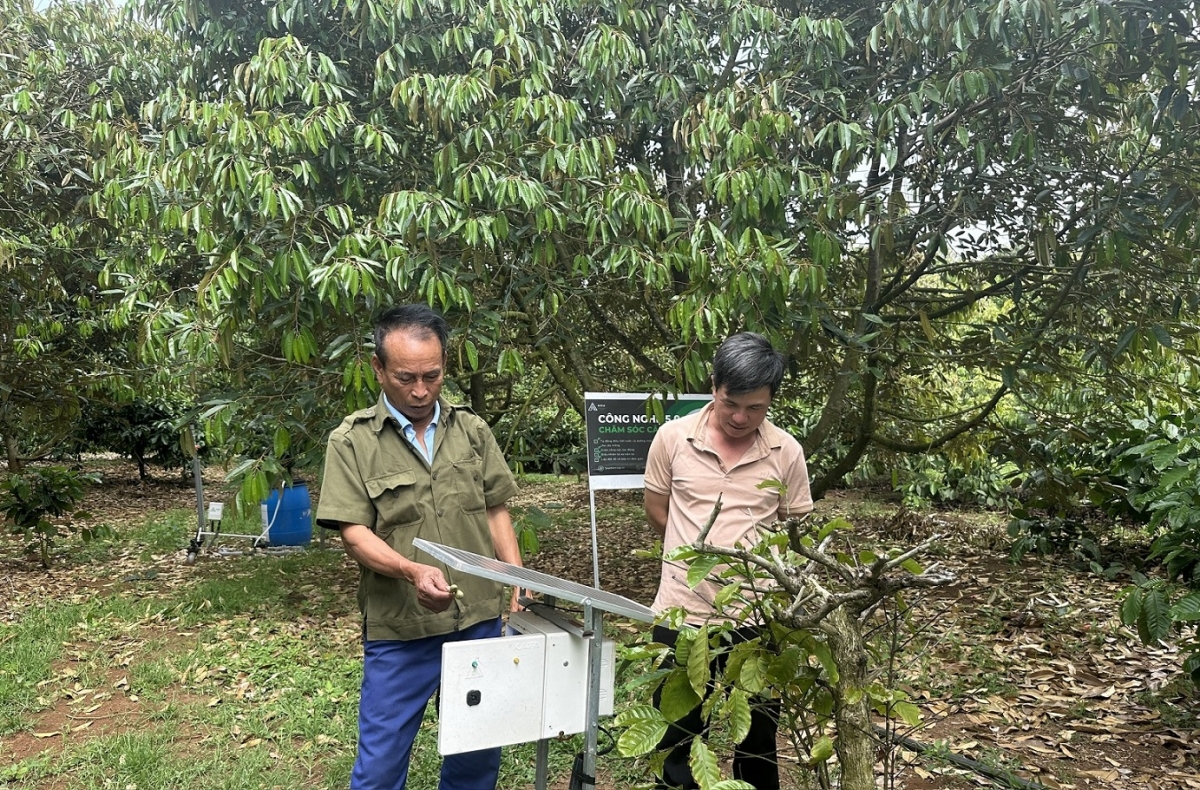 Khu pêi cheăng tơrŭm Nông nghiệp sạch Krông Pắc ‘no liăn pro ki cảm biến vâ séa ngăn đô̆ pH, trếo lĕm tung tơnêi