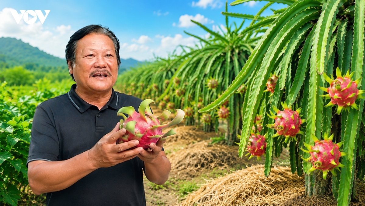 Baoh thanh long Viet Nam tabiak negar Nam Á