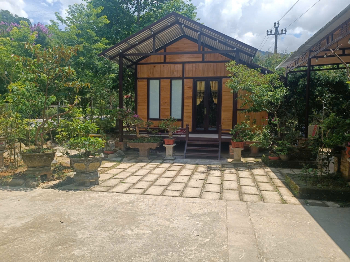 Những ngôi nhà được thiết kế theo nhà sàn truyền thống của người Pa Cô tại làng Du lịch A Nô, xã A Lưới 1, thành phố Huế tạo nên sức hút cho du lịch cộng đồng - Ảnh: Hoàng Thanh Duy