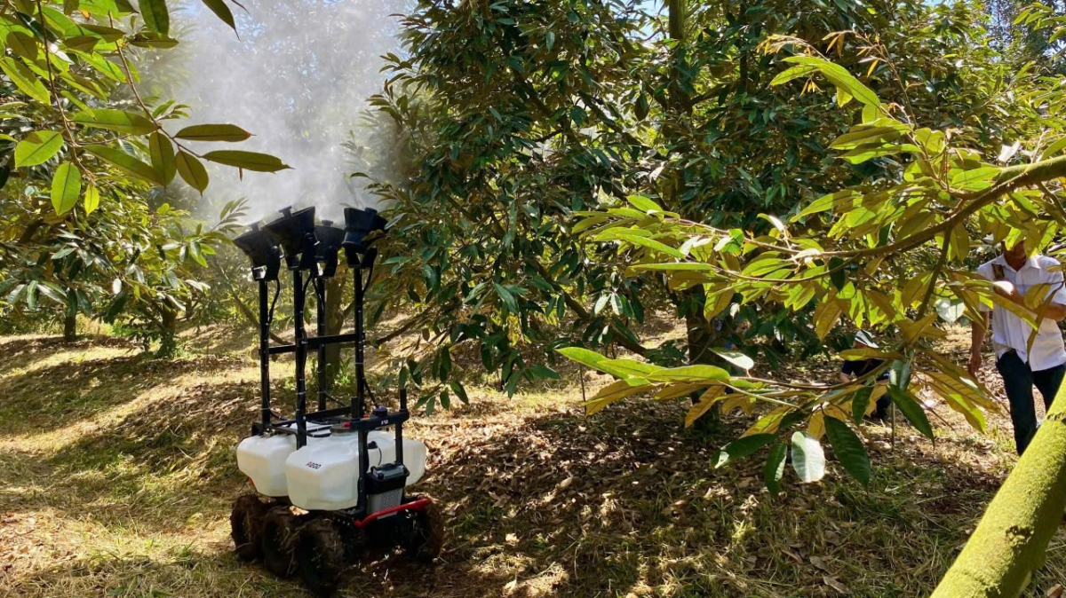 Công nghệ số và máy móc hiện đại được ứng dụng vào quản lý dịch hại và tưới tiêu. Ảnh: Công Bắc