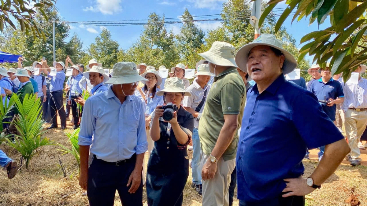 Nông dân và cán bộ khuyến nông tham quan mô hình canh tác bền vững tại Tây Nguyên. Ảnh: Công Bắc