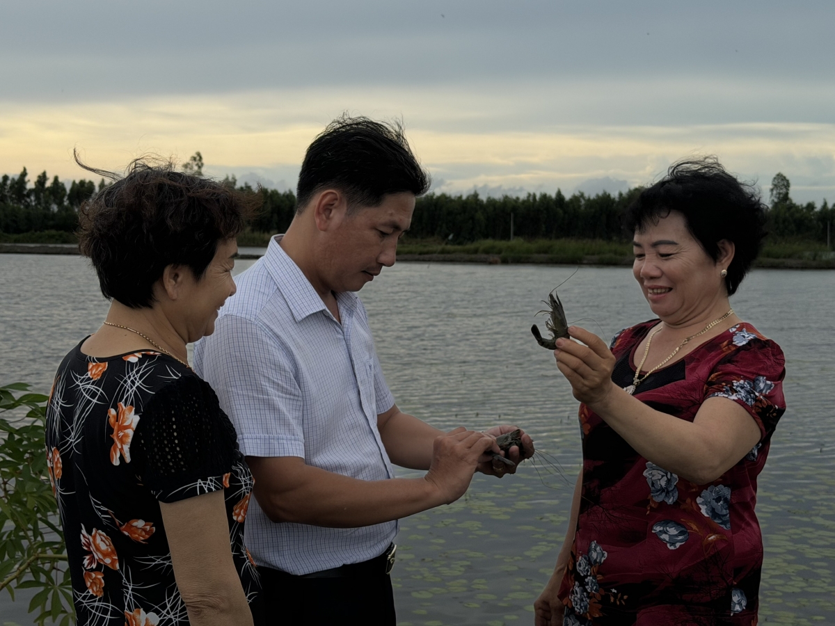 Nông dân Lương Tâm phấn khởi khi thu hoạch đợt tôm đầu cho thu nhập cao