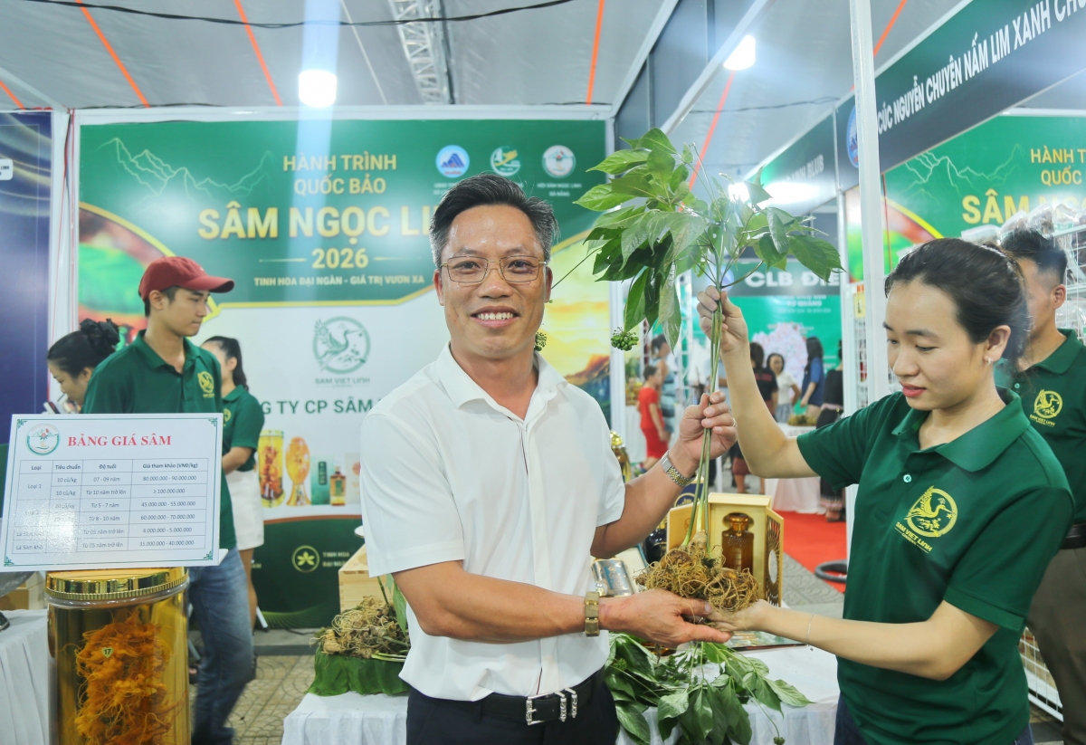 ​Lần đầu tiên trưng bày 50 gian hàng Sâm Ngọc Linh và dược liệu tại trung tâm thành phố Đà Nẵng. Ảnh: Long Phi/VOV miền Trung
​
