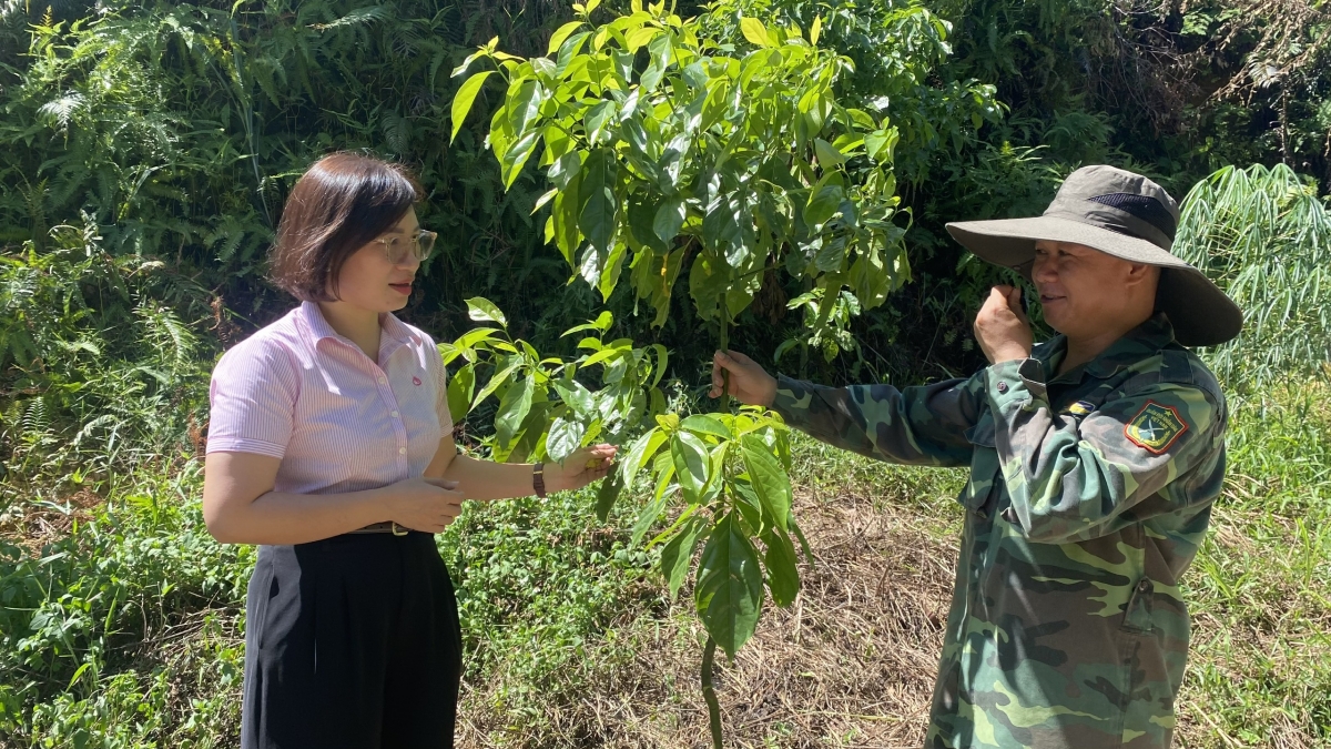 Bà Kiều Thị Thanh Phước - PGĐ Phòng giao dịch NHCS khu vực Thanh Sơn đến thăm mô hình của anh Hà Tuyên ở thôn Đông Thịnh, xã Văn Miều. Ảnh: Hoàng Minh