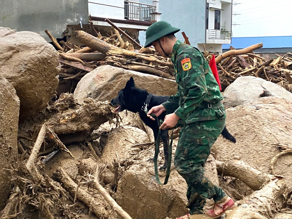 Tham gia nhiệm vụ có 29 cán bộ, chiến sĩ BĐBP tỉnh Lai Châu cùng 2 chó nghiệp vụ
của Trường Trung cấp 24 Biên phòng - Ảnh: Đức Duẩn.