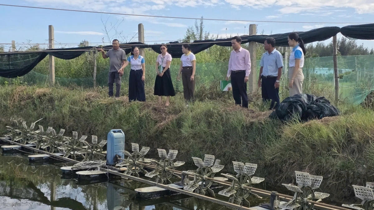 Cán bộ Ngân hàng Chính sách xã hội thành phố Đà Nẵng khảo sát mô hình sản xuất của hộ vay vốn chính sách, góp phần đưa nguồn vốn ưu đãi phát huy hiệu quả tại cơ sở. Ảnh: NHCSXH Đà Nẵng