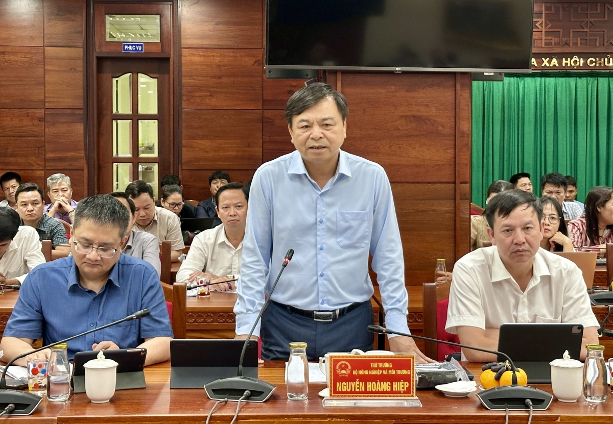 Ông Nguyễn Hoàng Hiệp, Thứ trưởng Bộ Nông nghiệp và Môi trường cho biết, Bộ đang nghiên cứu sửa đổi Nghị định 38 theo chỉ đạo của Thủ tướng Chính phủ theo hướng linh hoạt hơn. Ảnh: Hương Lý/VOV-Tây Nguyên