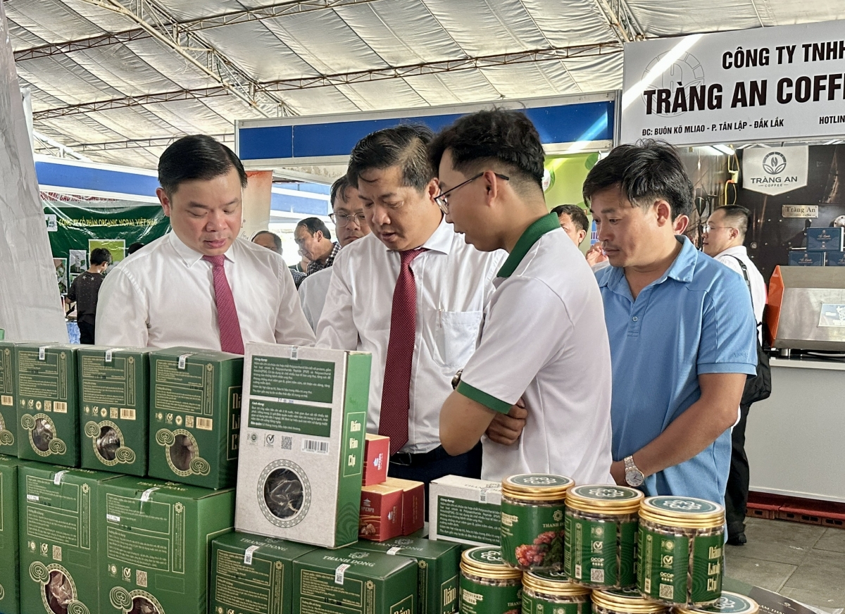 Đơng lam càr Dăk Lăk lòt còp sền ală cơldŭ phan ràng tơlik yal tơnggĭt phan bơna