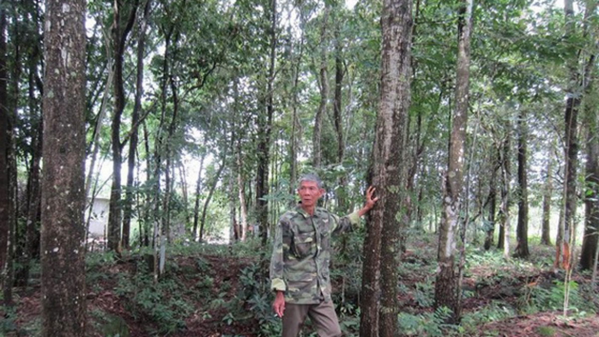 ong Thùng taphia glai drei pacang khik