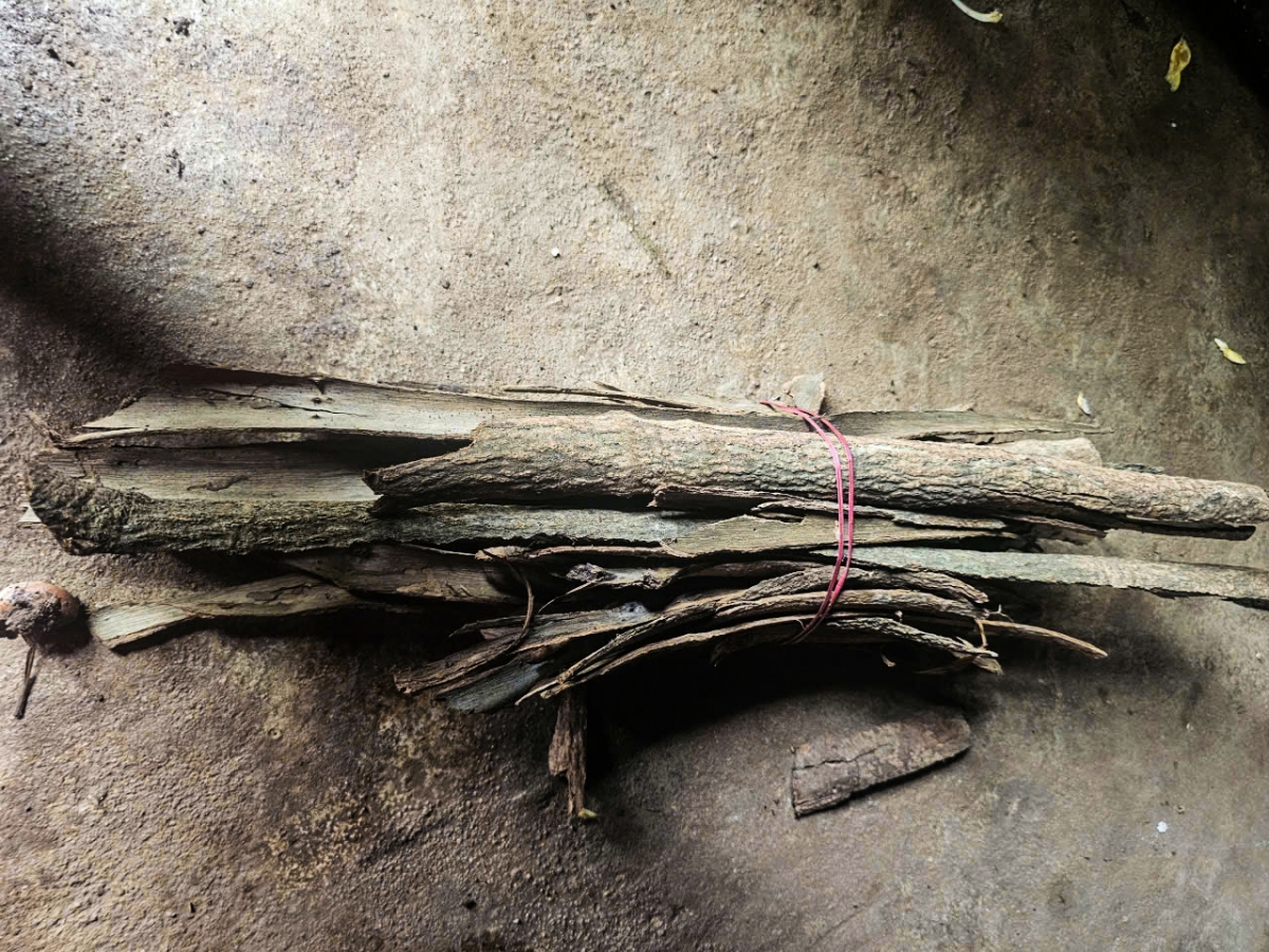 Kơtôu loăng plâi kuih khăng-cho tơmeăm ki vâ tơvât tơpoăng rơmôe kơbâng priât kong thăm rế kơhiâm