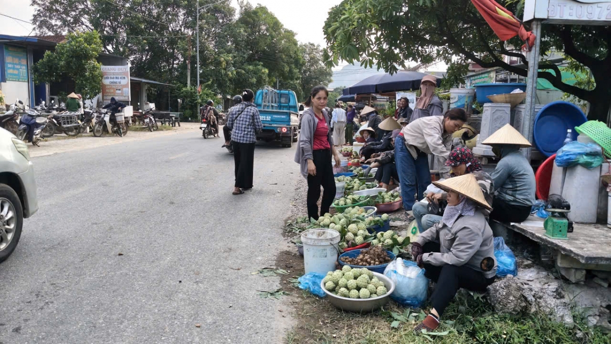 Na sớm được bày bán ven quốc lộ 1B, đoạn qua xã La Hiên - Ảnh: Công Luận - Hoàng Tú