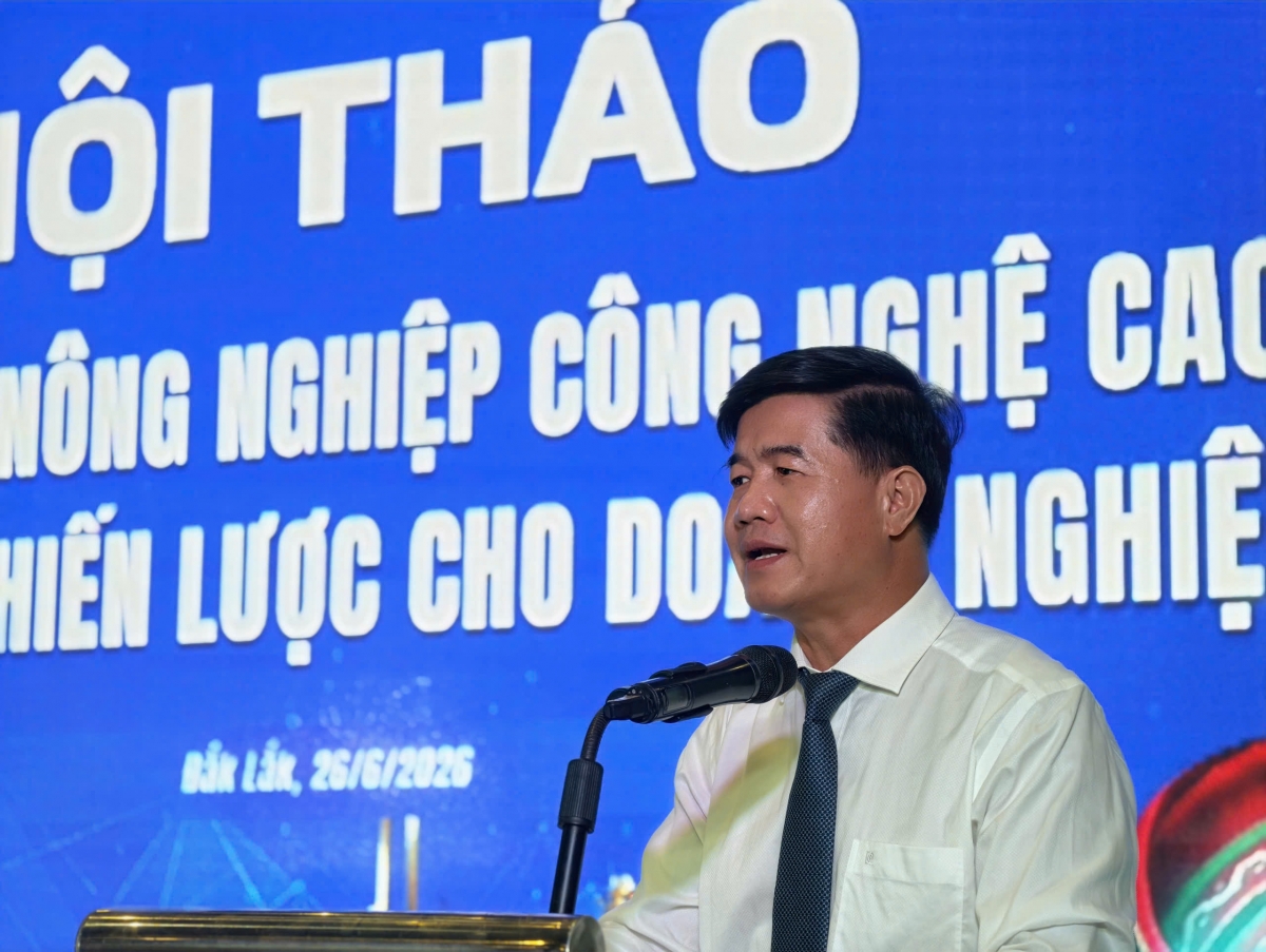 Vi ƀan kong pơlê Gia Lai tơkêa rơtế ƀă mâu khu tê mơdró mơjiâng mâu tơmeăm ai tơdjâk ‘na kơmăi kơmok kruá lĕm.