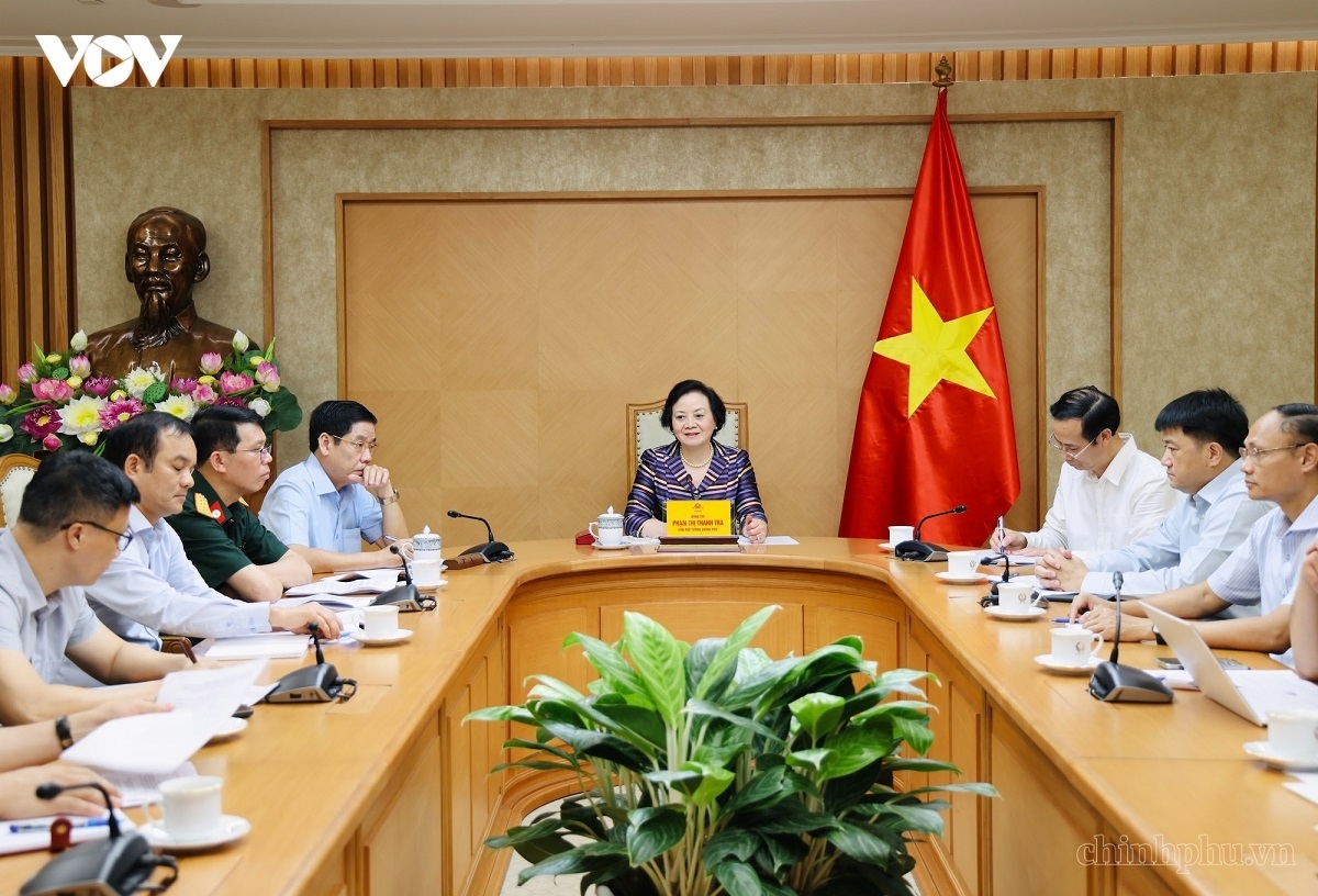 Phó Thủ tướng Phạm Thị Thanh Trà phát biểu tại cuộc họp về công nghệ giám định ADN phục vụ xác định danh tính hài cốt liệt sĩ, chiều 17/7.