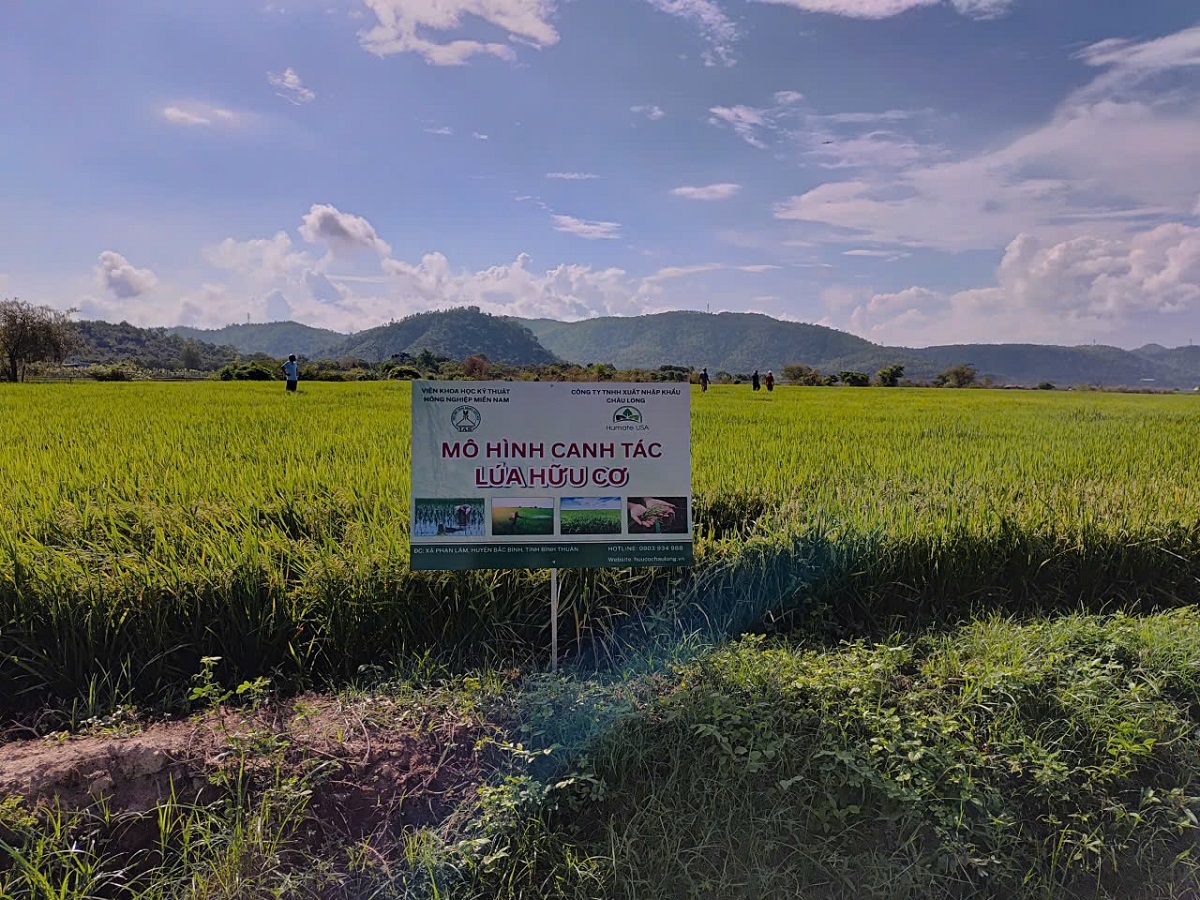Anih rah pơtĕm pơdai čăm hơdjă huăi yua jrao arah ƀơi Phan Sơn