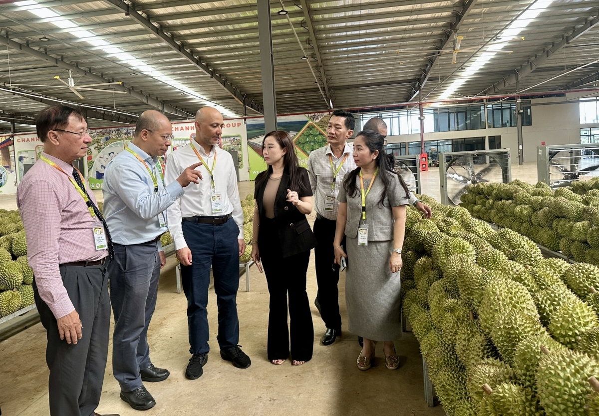 Đắk Lắk đei lơ tơdrong tơgŭm vă sơng iŏk jên jang, jang hơdoi vang atŏk tơiung choh jang hăm kơmăy kơmŏk ‘nao, choh jang xa rơgoh păng jang mŭk drăm klĕp ‘lơ̆ng