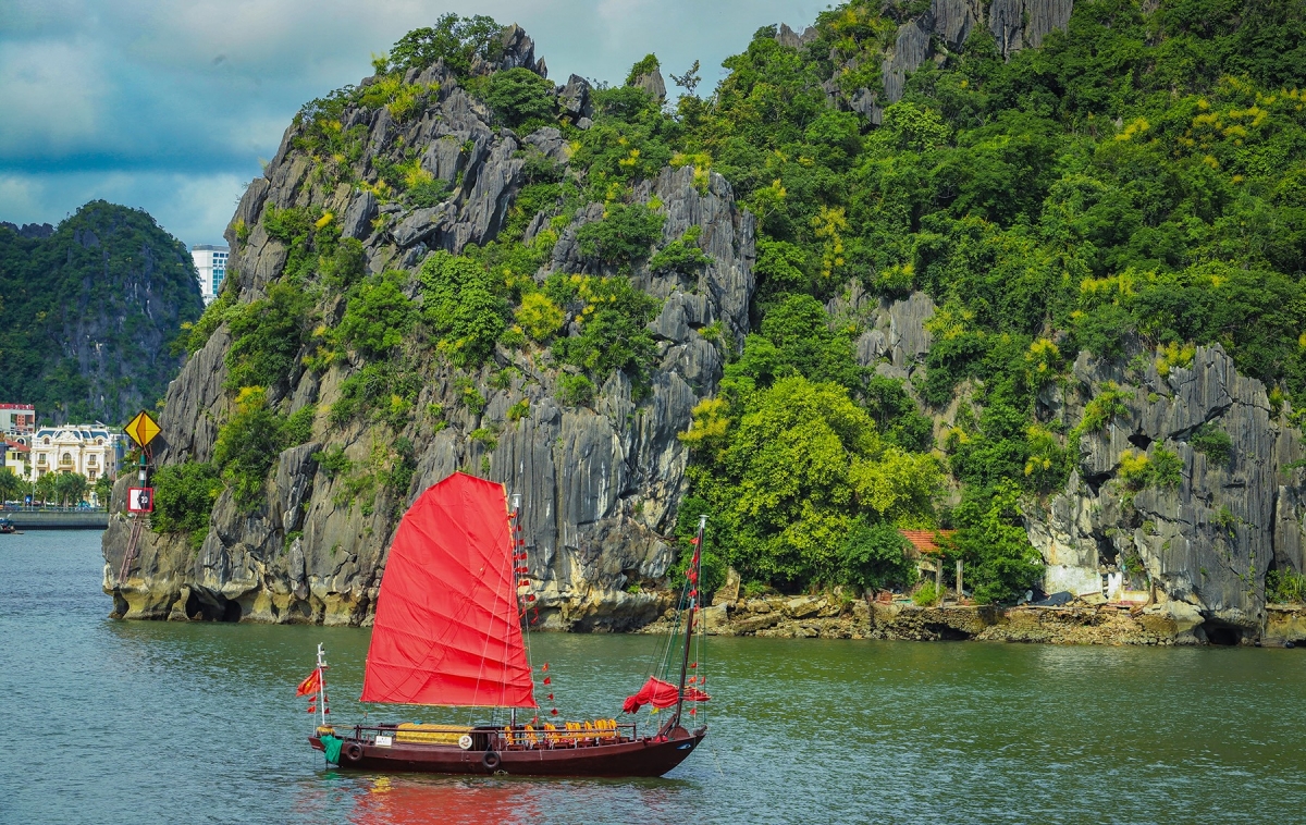 Phất dụ núi mọc thành từng quần thể, bám chắc trên các vách đá dựng đứng, đỉnh núi cao hoặc ngay sát mép nước, rễ len sâu bám đá, thân vươn dài đón nắng gió. Ảnh: Trường Giang/VOV Đông Bắc