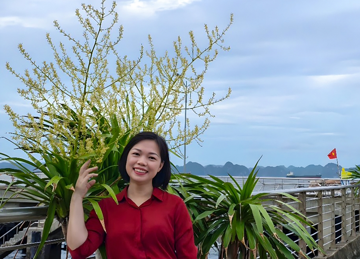 Chị Đào Thị Thuý, Hướng dẫn viên Ban Quản lý Di sản thế giới vịnh Hạ Long – Yên Tử, chia sẻ: Dù đã gắn bó với Vịnh hơn 20 năm, chị vẫn thấy bất ngờ khi chứng kiến mùa hoa phất dụ năm nay. Ảnh: Trường Giang/VOV Đông Bắc