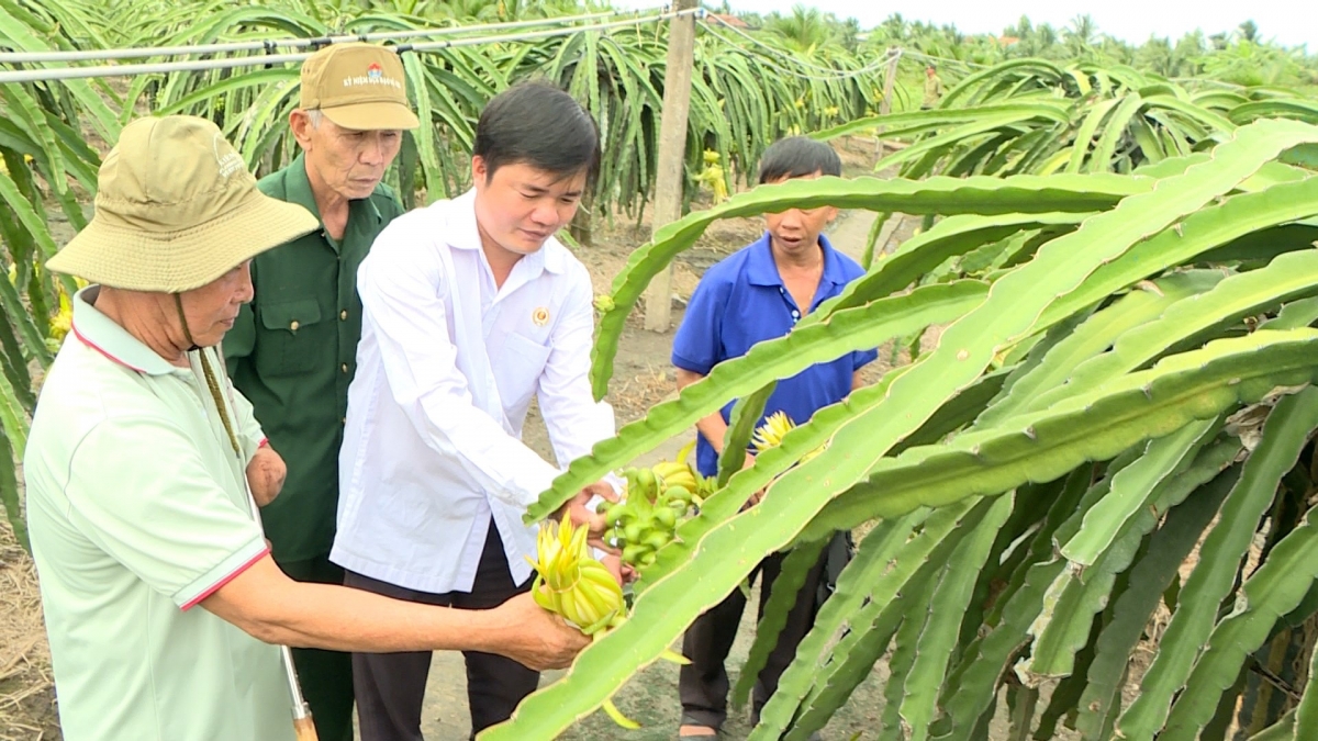 Phong trào thi lao động sản xuất của Hội cựu chiến binh các cấp ở tỉnh Đồng Tháp ngày càng nâng chất