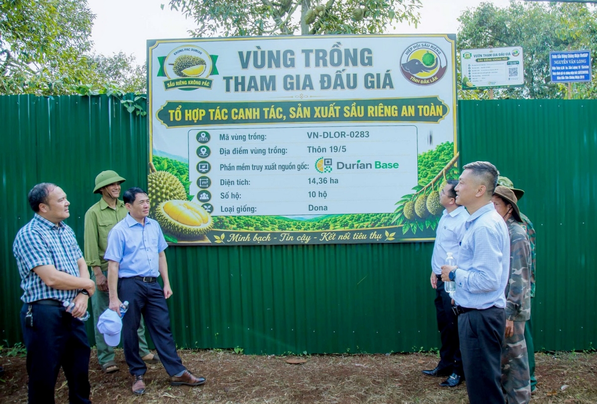 Sàh Krông Pắc kơ̆p gơn broă lơh tàm pơrlòng giă suơn sầu riêng rơ̆p lơh geh tai gah tàm tơrbŏ đah cau lơh sươn, mpồl lơh sa kă bro blơi mờ tăc mờ lơgar ndai
