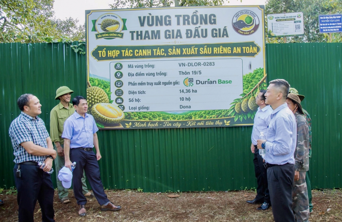 Mâu tíu mơjiâng pro tơmeăm a kơpong cheăng ƀă kơmăi kơmok a Tây Nguyên xuân dế ối kal hên ngế pêi cheăng, malối cho mâu ngế ki hiăng rơkê pêi cheăng