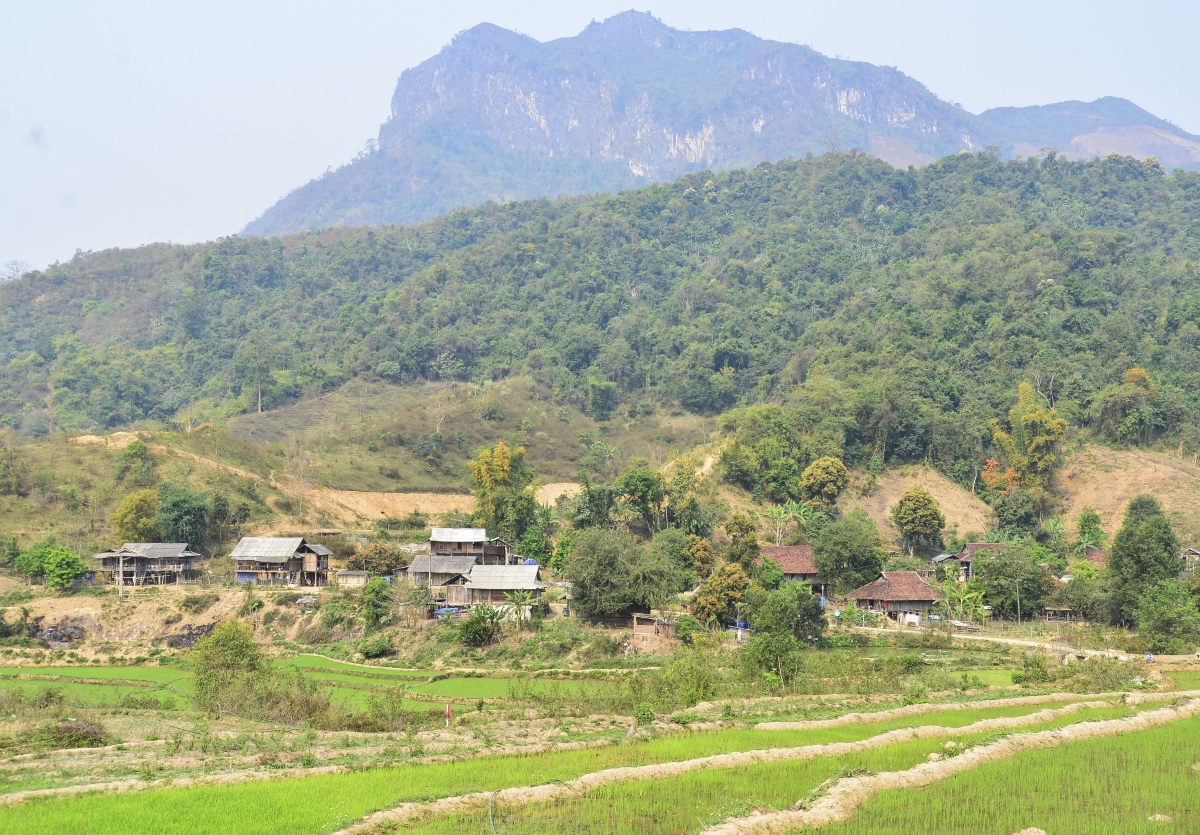 Với hơn 430.000 ha rừng, trong đó 98,4% là rừng tự nhiên, tỉnh Điện Biên đang có nhiều lợi thế để phát triển thị trường tín chỉ carbon rừng (Ảnh: Vũ Lợi)