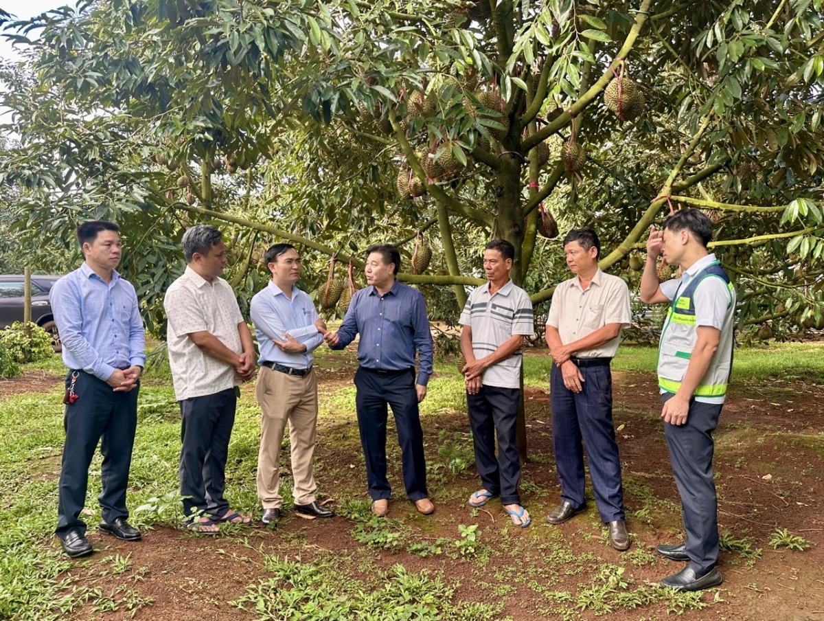 
Rim hơnih jang kơ Hơnih tơm vei lăng Choh jang sa păng Cham char vang pơtho pơhrăm, tơgŭm Đắk Lắk lơ̆m bơ̆ jang kơsô̆ păng ƀơk ăn mã kơsô̆ tơ̆ tơring