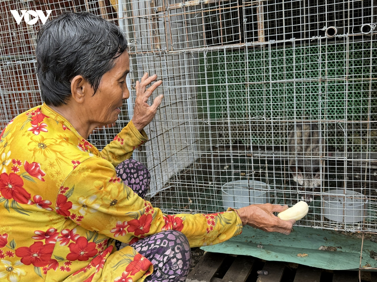 Bruk raong maja menek daok peih tabiak piah dom baoh sang kathaot, jaik kathaot di xa Phụng Hiệp dak harei dak padang mbang ngui karo kajap