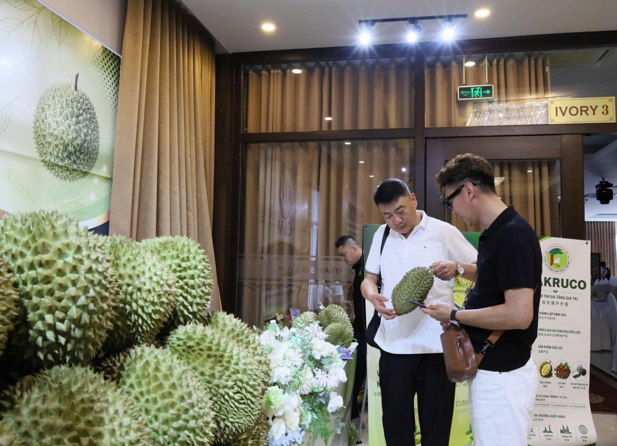 Klei bi kƀĭn kñăm mtrŭt mđĭ klei bi hgŭm kluôm mơ̆ng krĭng pla mjing, mkra mjing truh kơ logistics leh anăn ba čhĭ boh durian.