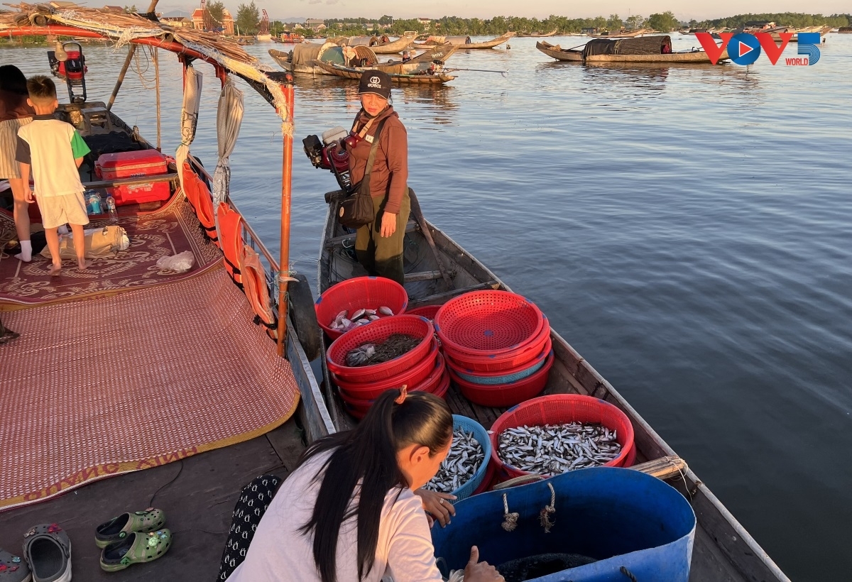 Ngư Mỹ Thạnh là một làng chài nổi tiếng trên phá Tam Giang, Thành phố Huế.
Ảnh: Lệ Chi/VOV5