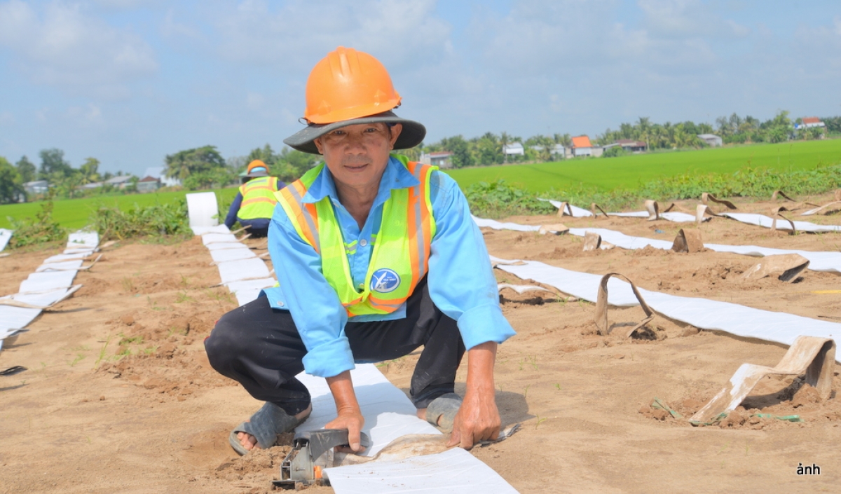 Công nhân làm việc trên công trường cao tốc