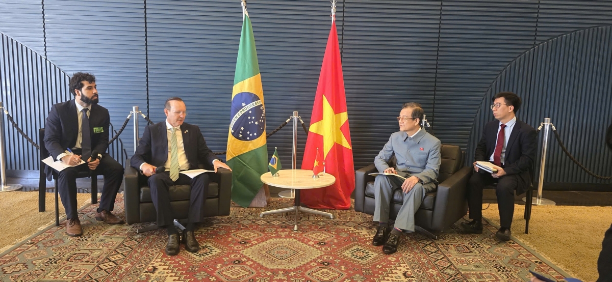 Mpồl lơh broă mờ Mpồl Nghị sìh Lơh bơyô bal Brazil mờ Việt Nam