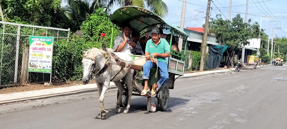 Hoạt động xe ngựa phục vụ du khách tuy vất vả nhưng thu nhập không cao