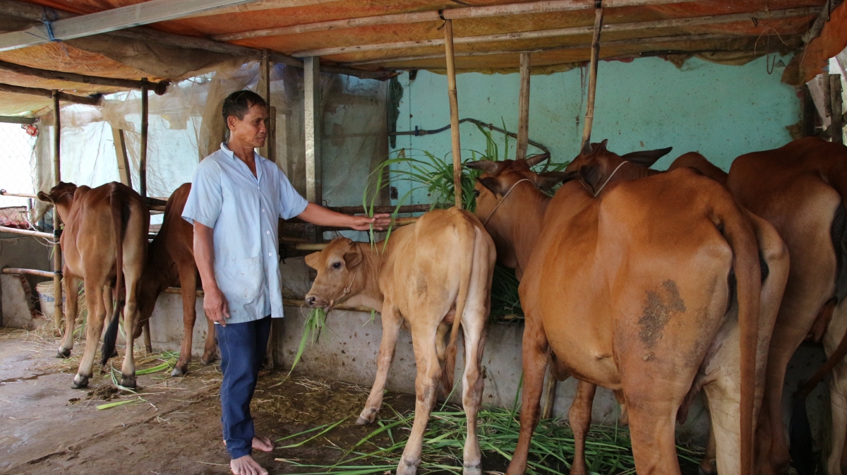 Từ các chương trình mục tiêu quốc gia, đồng bào Khmer có sinh kế ổn định (Ảnh: Thạch Hồng)