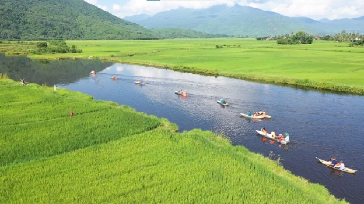 Những đồng lúa hồi sinh sau lũ lịch sử hai bên sông Bánh Lái, đưa du khách đến rừng Bàu Đá. Di chuyển bằng thuyền chèo tay trên mặt nước Bàu Đá phẳng như gương, có thể nhìn thấu thực vật thủy sinh dưới làn nước mát. Những cồn cỏ, đồi cây, đá tảng lô nhô, và những vạt sen thơm ngát cả ngày hè, càng làm cảnh quan Bàu Đá thêm quyến rũ. Ảnh:  Lê Biết/VOV Tây Nguyên