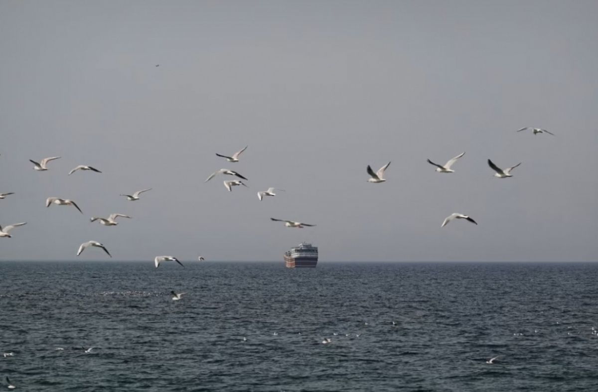 Eo biển Hormuz. Ảnh: Reuters