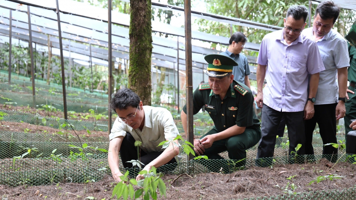 Lãnh đạo tỉnh Lai Châu và các sở, ngành khảo sát vùng trồng sâm tại Sì Lở Lầu. Ảnh: Khắc Kiên.