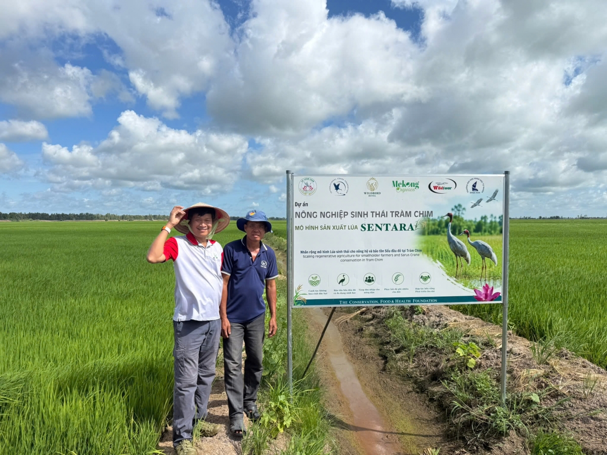 Mỗi người nông dân trở thành một "người bảo tồn", hy vọng về sự trở lại của sếu đầu đỏ cũng sẽ gần hơn với hiện thực.