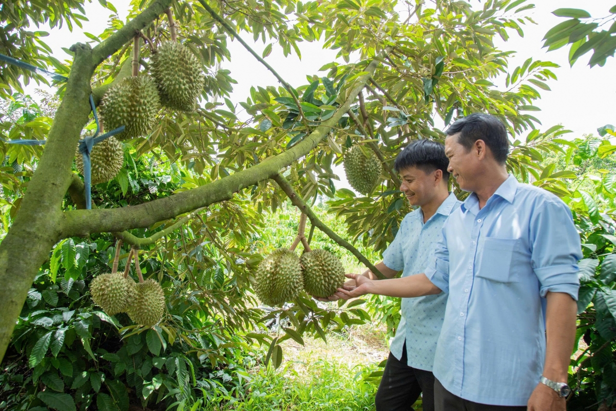 
Tơdrong tơchơ̆t 36 hơmet pơ ‘lơ̆ng dôm tơdrong tơhlăk tơhlĭn tơchơ̆t găh ƀơk ăn mã tơring pơtăm.