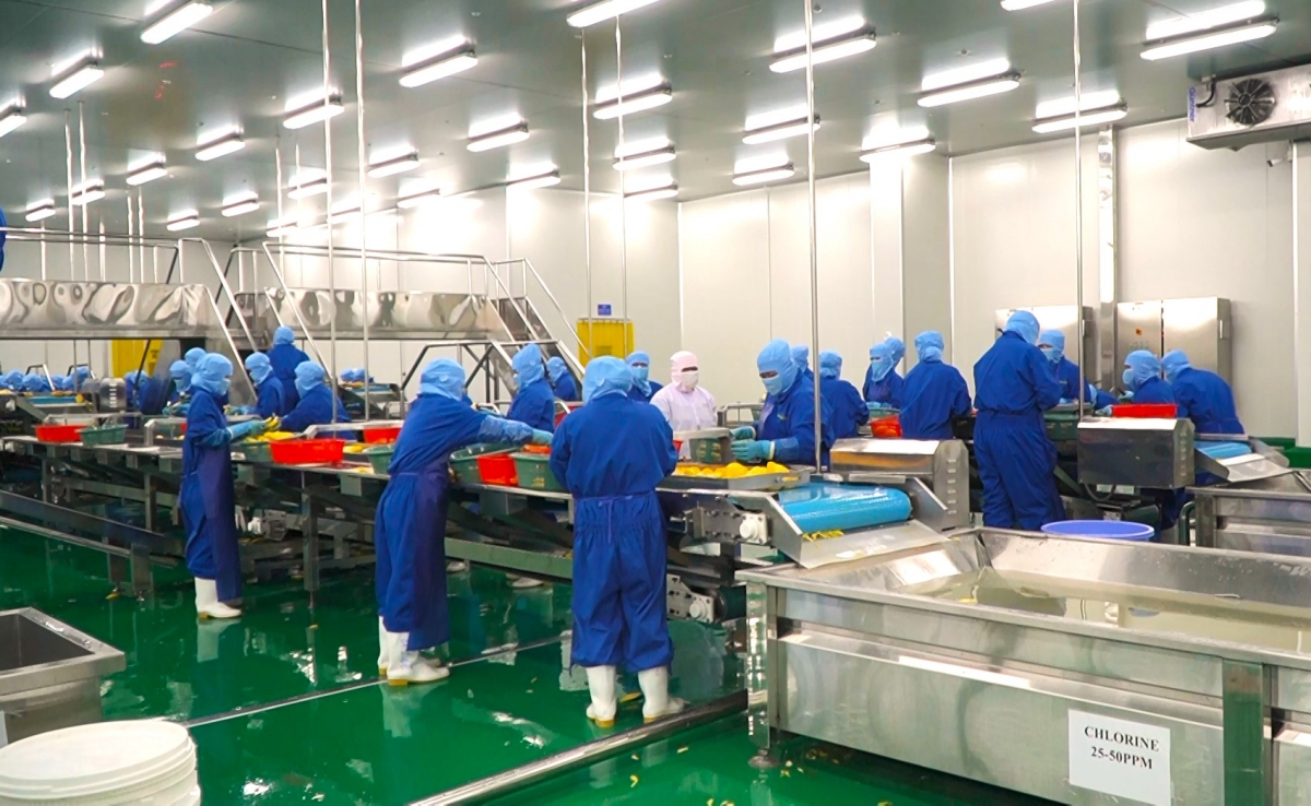 Nhà máy chế biến trái cây, Công ty TNHH Nova Thabico, xã Thường Phước