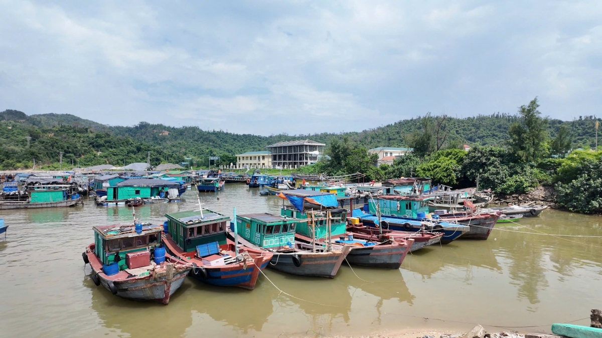 Tàu thuyền của ngư dân về nơi tránh trú an toàn trên đảo Thanh Lân (Ảnh: Trường Giang/VOV Đông Bắc)