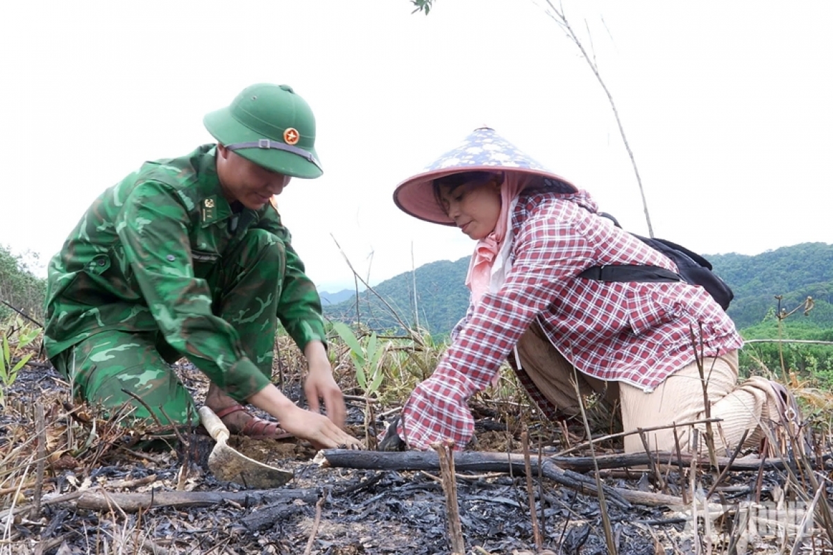 Bộ đội hướng dẫn người dân kỹ thuật trồng cây.Ảnh Báo Quân đội Nhân dân