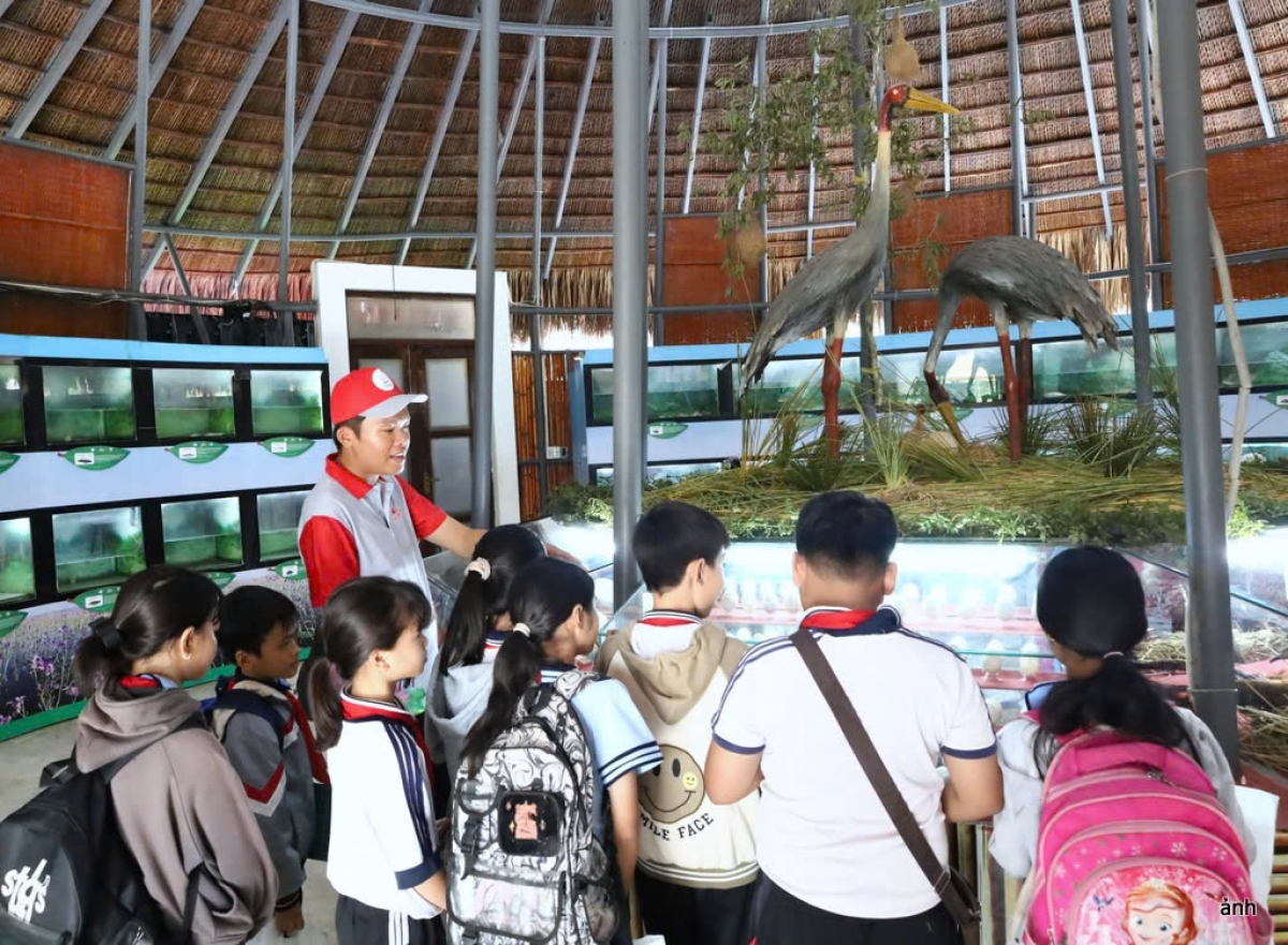 uyên truyền cho lớp trẻ về bảo tồn hệ sinh thái và sếu đầu đỏ Vườn Quốc gia Tràm Chim