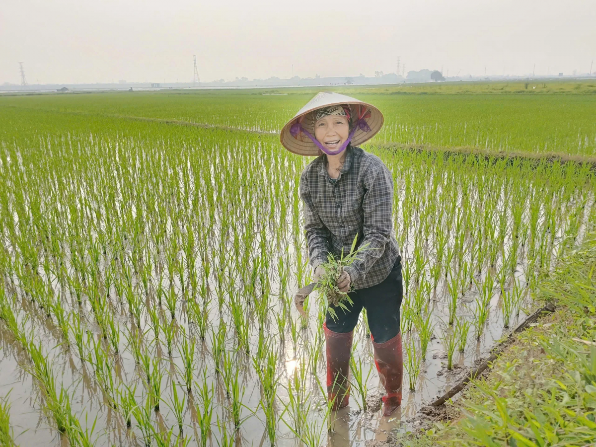 Urang ngak nong ramik hareik di mblang hamu